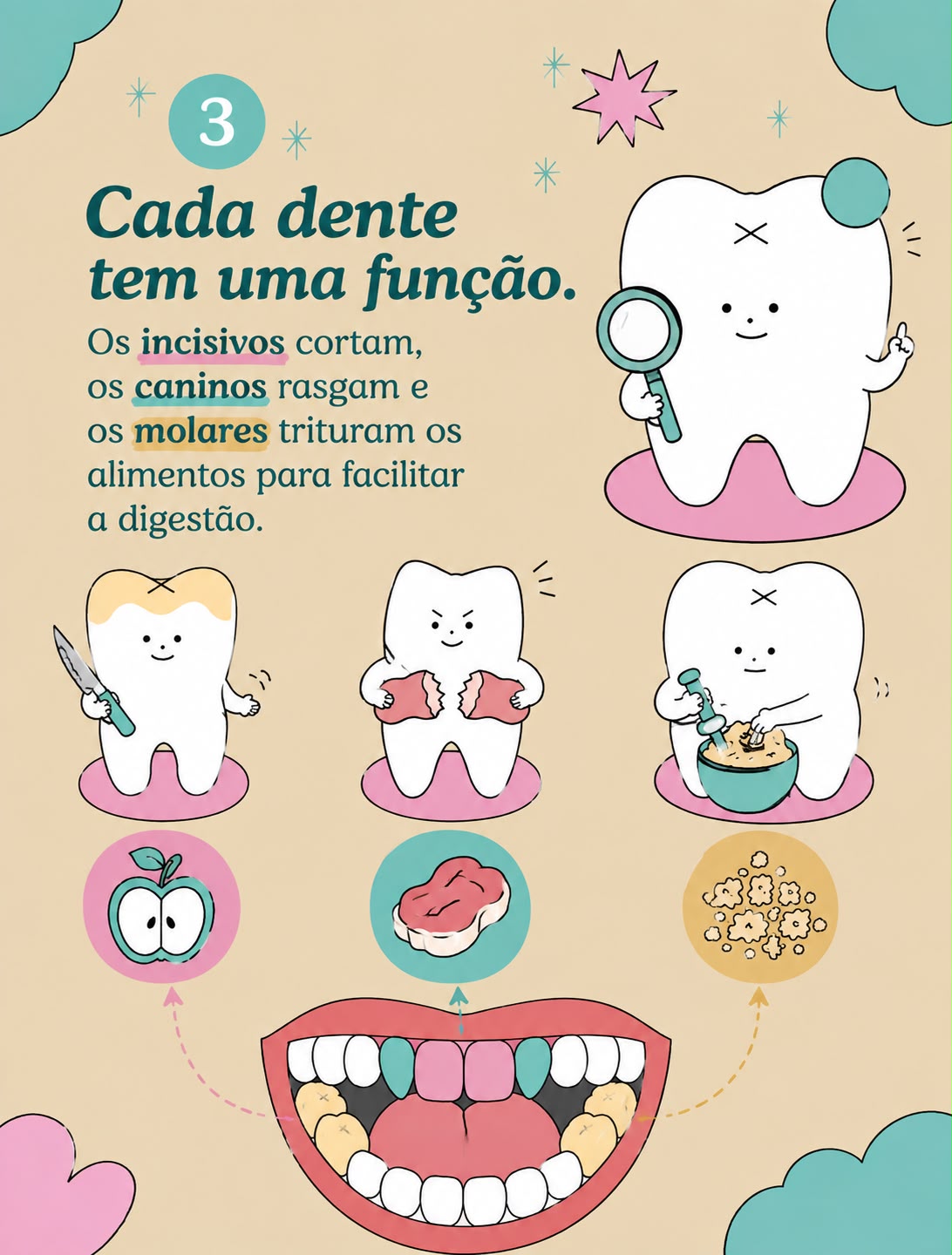 Carrossel 3 Curiosidades Sobre Dentes por Catarina Mota Moreno - Slide 4